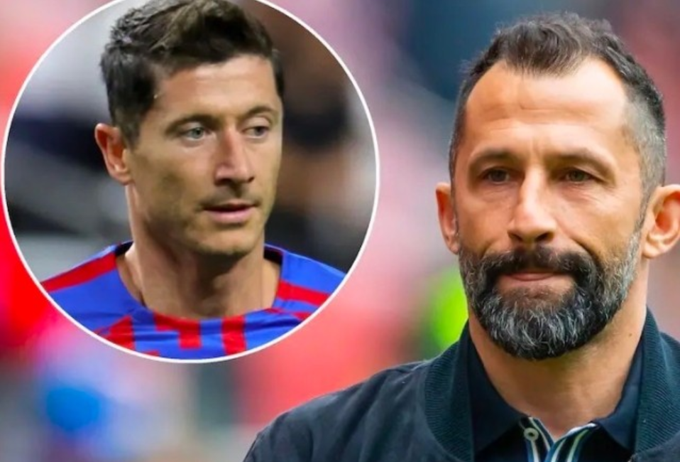 拉伯的比赛 拉伯的比赛